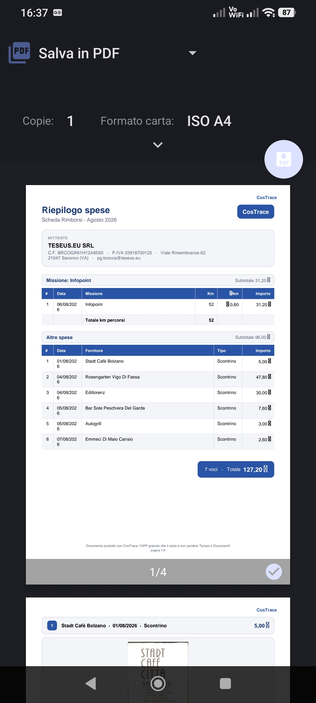 Anteprima del PDF di riepilogo